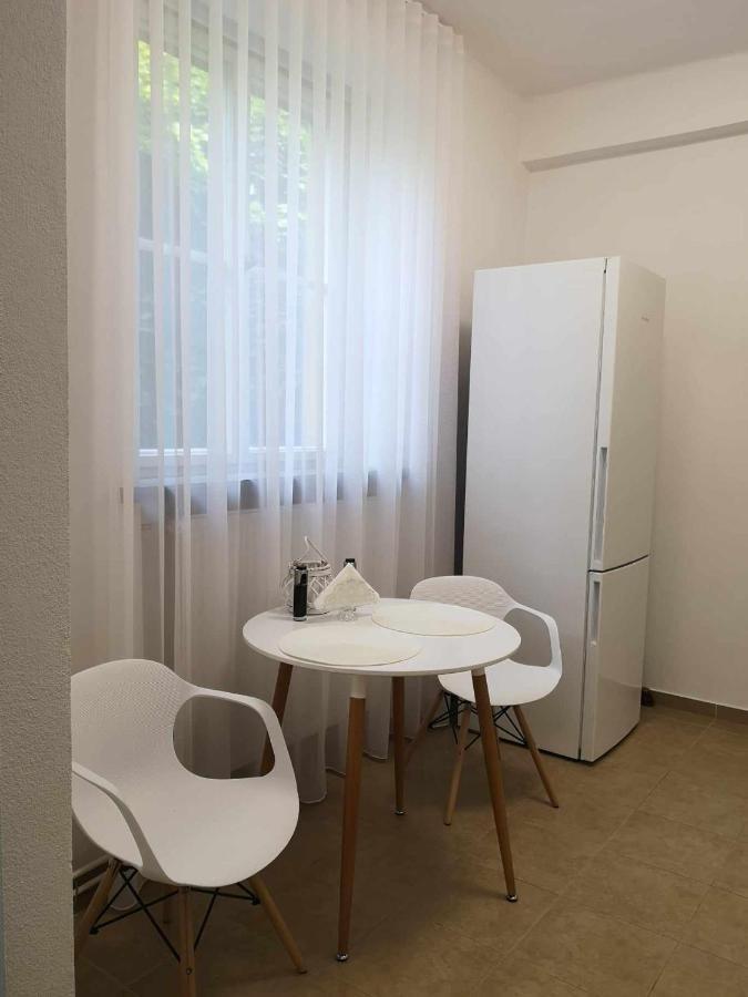Apartman Dlouha 207 Litoměřice Esterno foto
